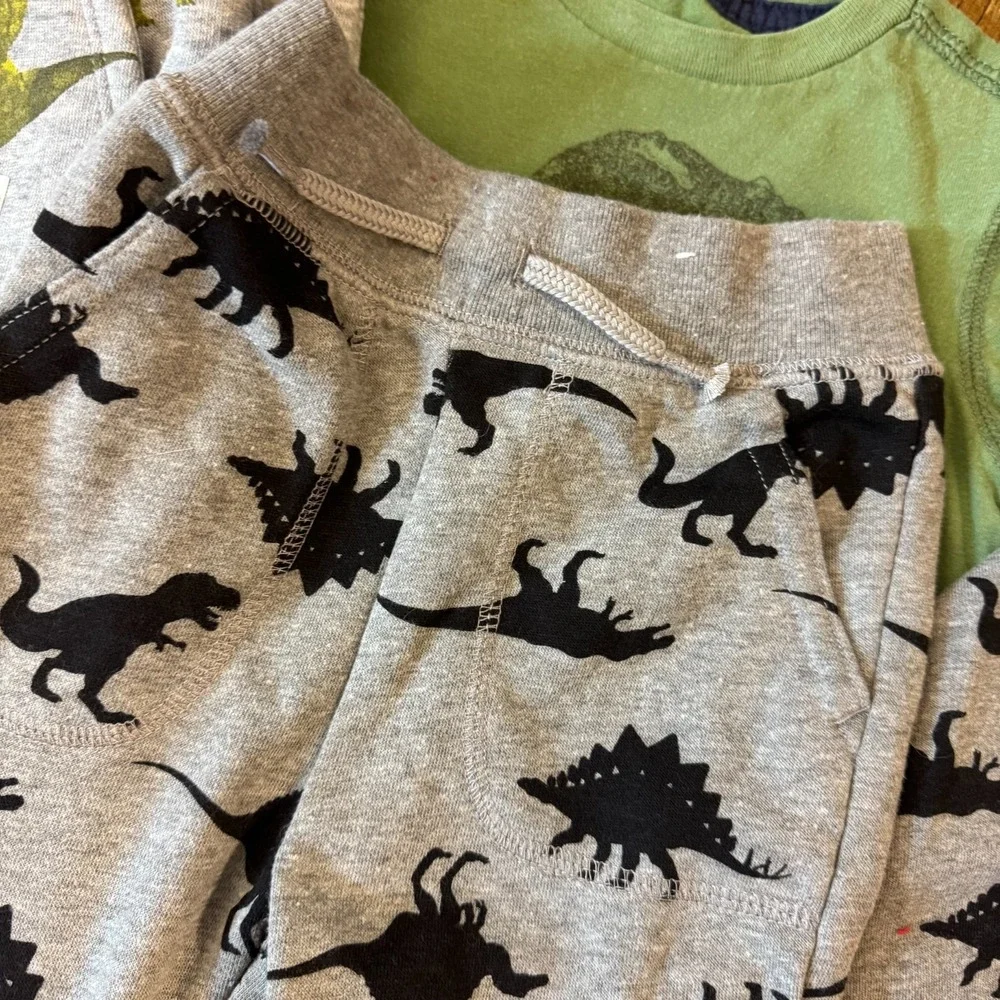 Toddler Baby Boy 2T Sweat Suits Clothes Lot Pants Hoodie Shirts Outfits Dinosaur
